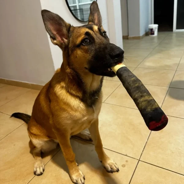 Toys Green Stick Dogs Pet Chew Bite Toy With Squeake Stuffed Raw Dog Joint Toys Spot Good - Image 14