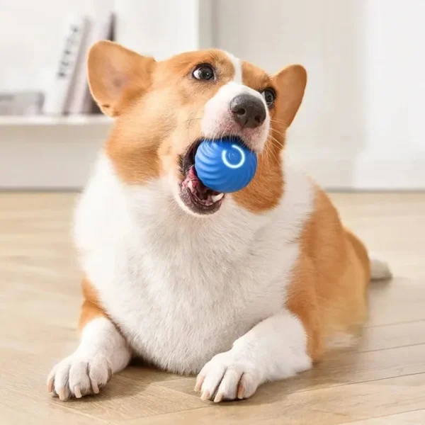 Dog Toy Ball Electronic Interactive Pet Toy Moving - Image 38